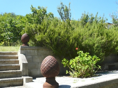Steps leading to the orchard